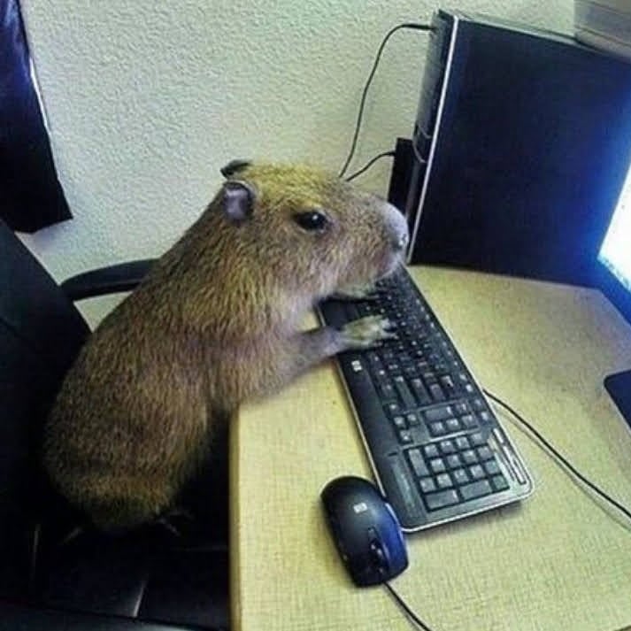 Capybara Using a Computer